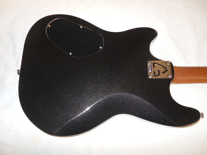 Surfliner Deluxe Picture 9